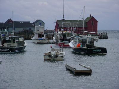 DSC02495.JPG