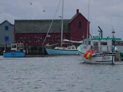 DSC02498.JPG