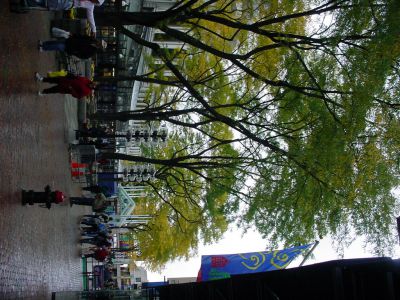 DSC02528.JPG