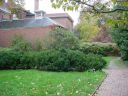 DSC02405.JPG