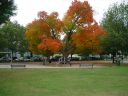 DSC02452.JPG