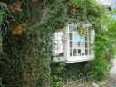 DSC02465.JPG