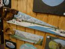 DSC02475.JPG