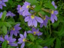 DSC02478.JPG