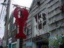 DSC02482.JPG