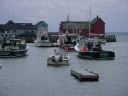 DSC02495.JPG