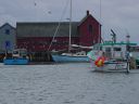 DSC02498.JPG