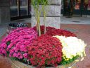DSC02512.JPG