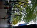 DSC02528.JPG