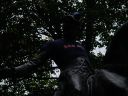 Filename=DSC02571.JPG
Filesize=342KiB
Dimensions=1024x768
Date added=Apr 17, 2020 DSC02571.JPG