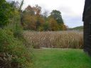 DSC02598.JPG
