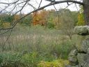 DSC02602.JPG