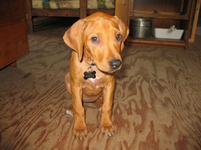 IMG_0311.JPG