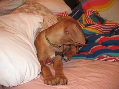 IMG_0326.JPG