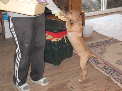 IMG_0328.JPG