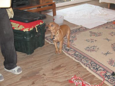 IMG_0329.JPG