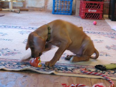 IMG_0336.JPG