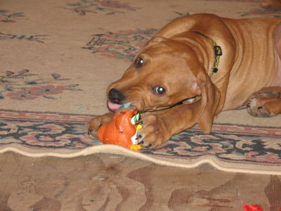 IMG_0339.JPG