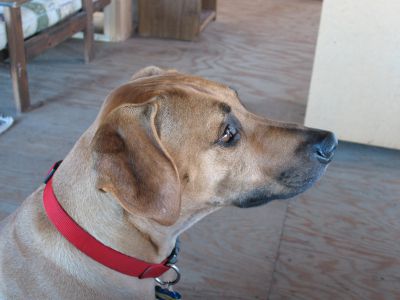 IMG_0354.JPG