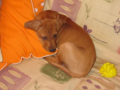 IMG_0358.JPG