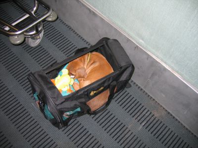 IMG_7271.JPG