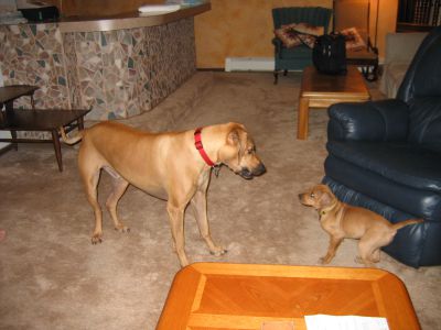 IMG_7274.JPG