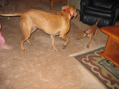 IMG_7281.JPG