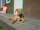 DSC02208.JPG