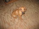 IMG_0309.JPG