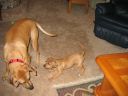 IMG_7278.JPG