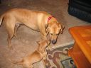 IMG_7279.JPG