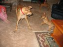 IMG_7280.JPG